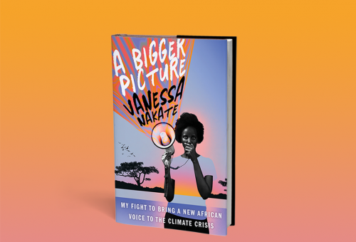 A Bigger Picture book cover. Featuring Vanessa Nakate speaking into a megaphone
